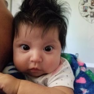 Meet your Posher, Sheylin